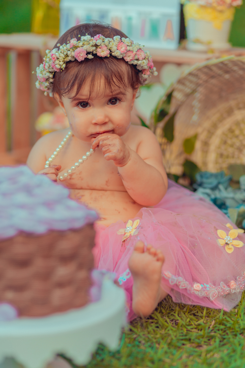 aniversario infantil fotografia smash the cake salvador jardim encantado flores passaros borboletas