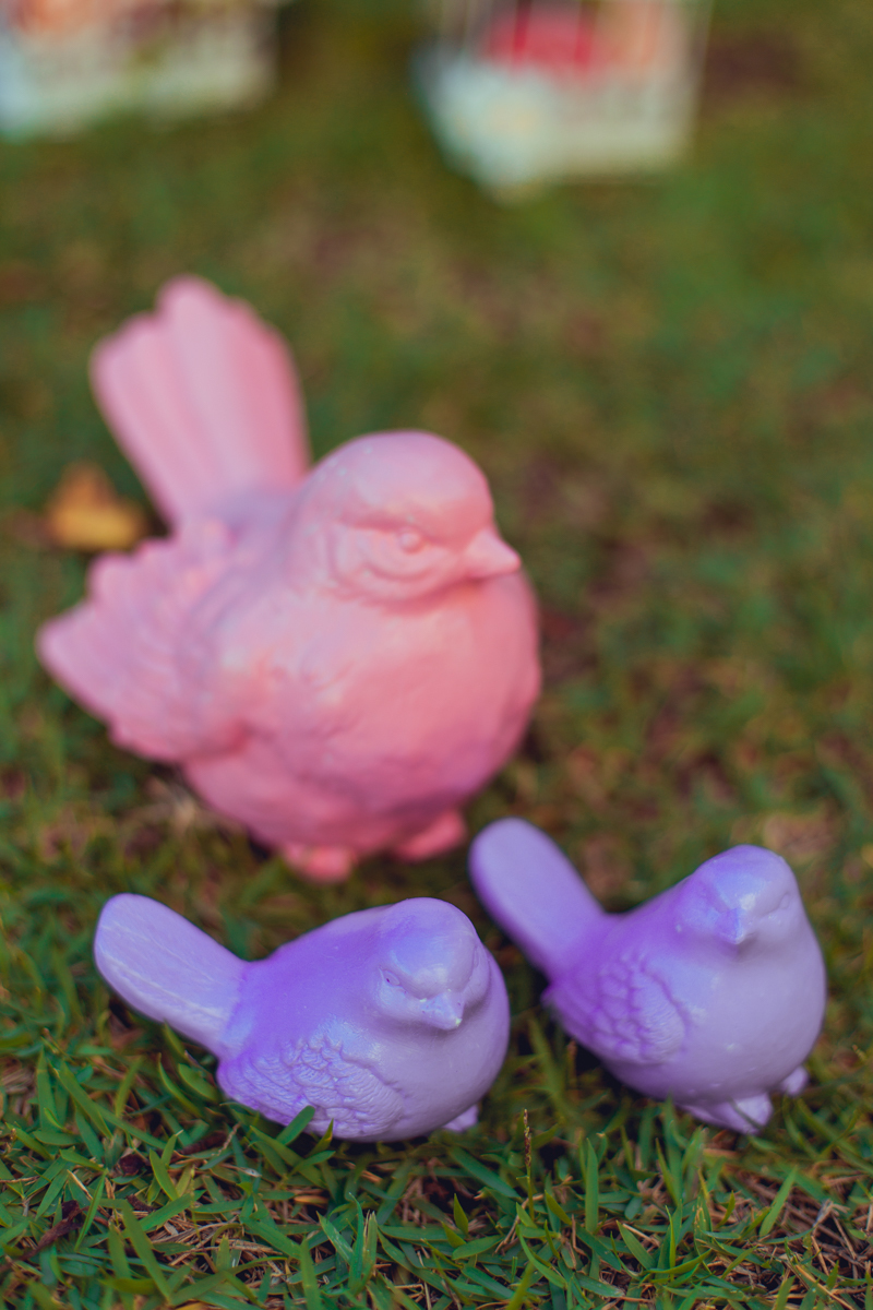 jardim passaros passarinhos smash the cake menina detalhes decoração