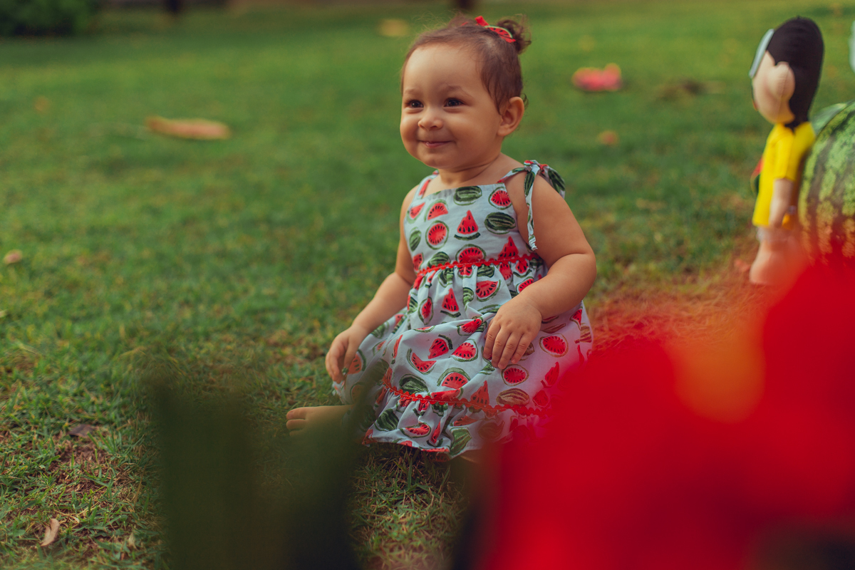 smash the cake fruit magali melancia criativo bonito cenario turma da monica mingal feltro bandeirolas decoração senhoritas fotografia foto vestido melancias