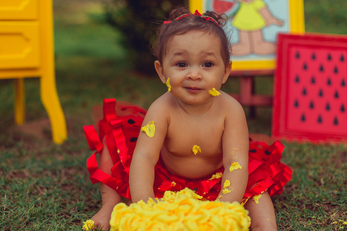 smash the cake fruit magali melancia criativo bonito cenario turma da monica mingal feltro bandeirolas decoração senhoritas fotografia foto saia tutu bolo