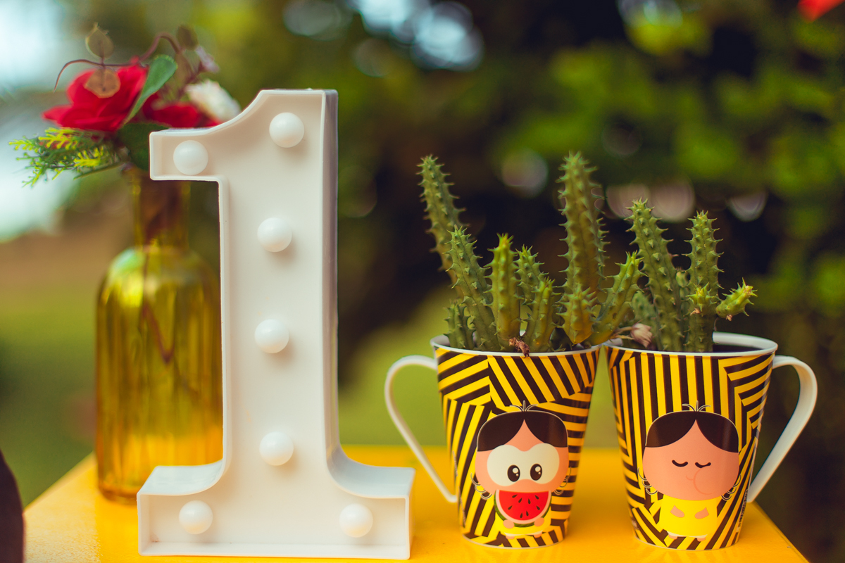 smash the cake fruit magali melancia criativo bonito cenario turma da monica mingal feltro bandeirolas decoração senhoritas fotografia foto