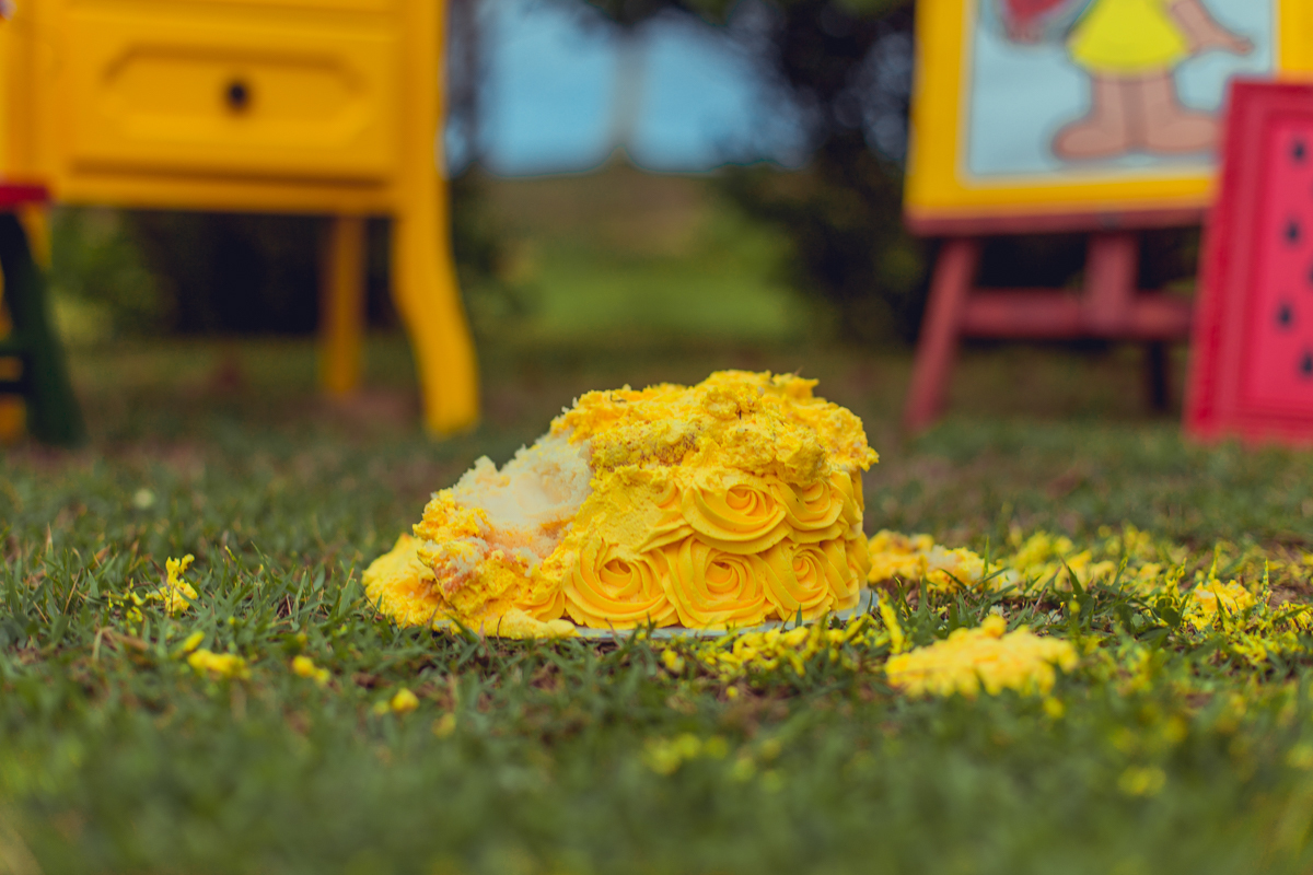 smash the cake fruit magali melancia criativo bonito cenario turma da monica mingal feltro bandeirolas decoração senhoritas fotografia foto saia tutu bolo destruido