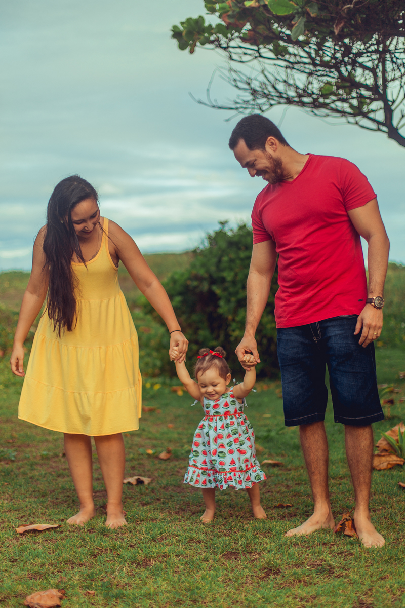 smash the cake fruit magali melancia criativo bonito cenario turma da monica mingal feltro bandeirolas decoração senhoritas fotografia foto vestido melancias familia