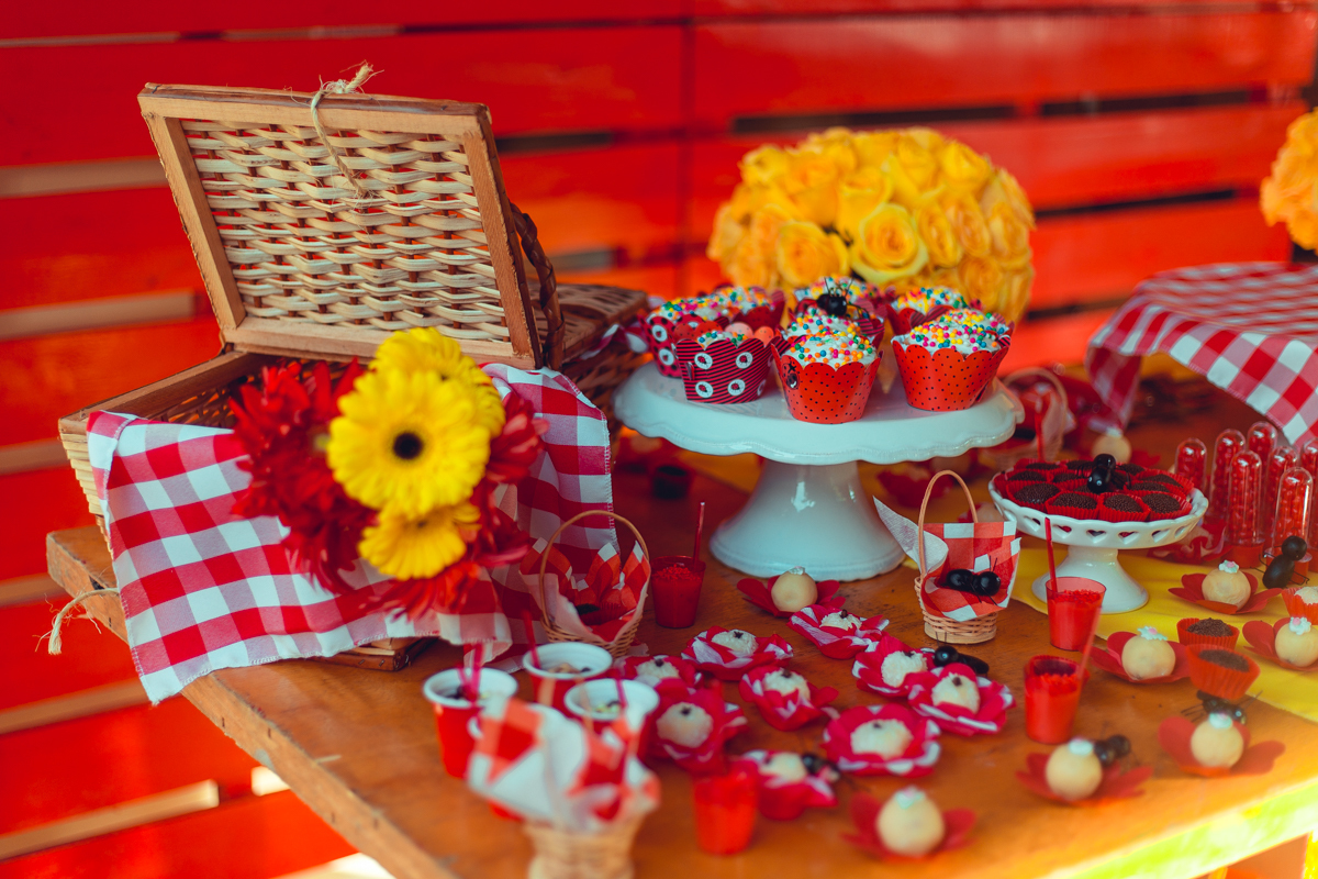 aniversario infantil fotografia salvador picnic 1 ano um tema criativo decoração foto fotografo fotografa crianças festa em casa