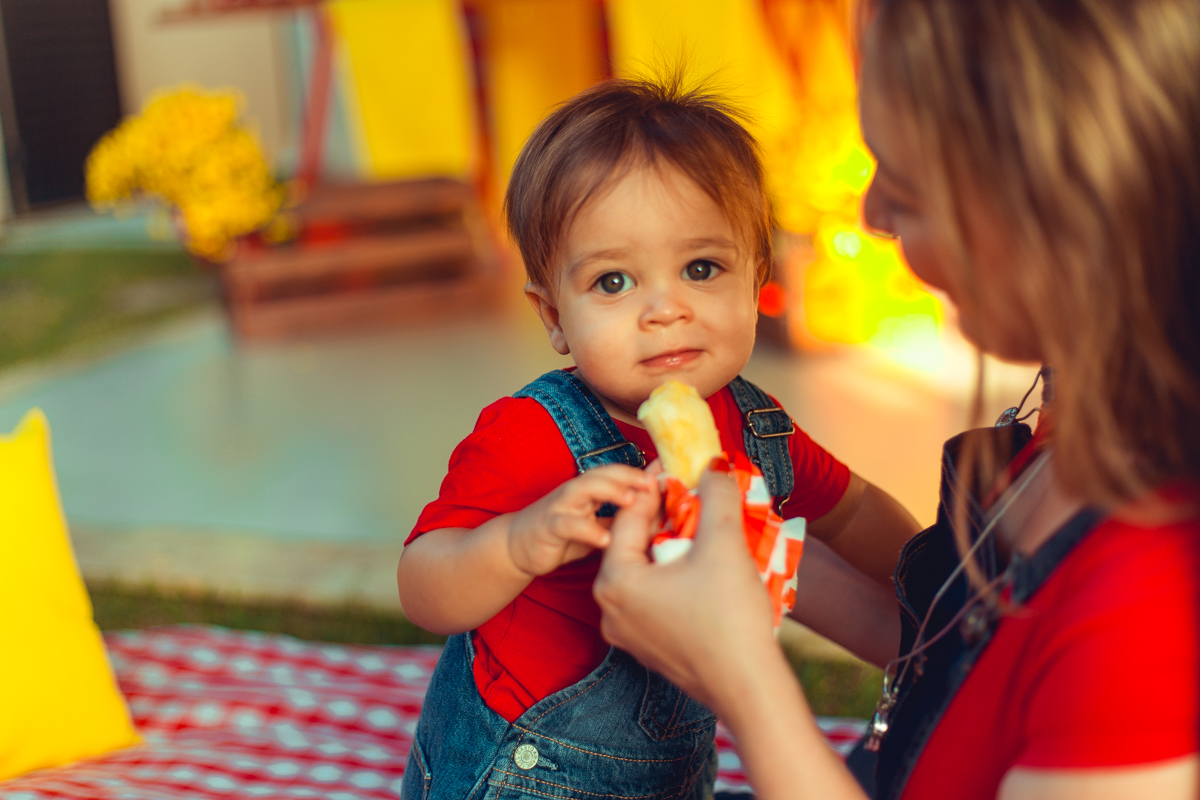 aniversario infantil fotografia salvador picnic 1 ano um tema criativo decoração foto fotografo fotografa crianças festa em casa