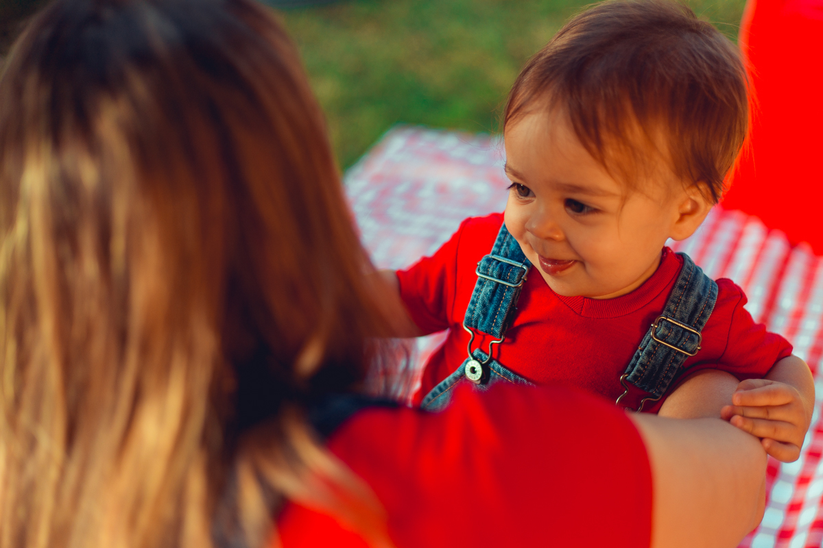 aniversario infantil fotografia salvador picnic 1 ano um tema criativo decoração foto fotografo fotografa crianças festa em casa