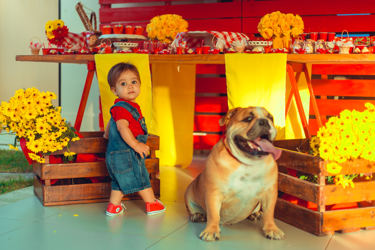 aniversario infantil fotografia salvador picnic 1 ano um tema criativo decoração foto fotografo fotografa crianças festa em casa