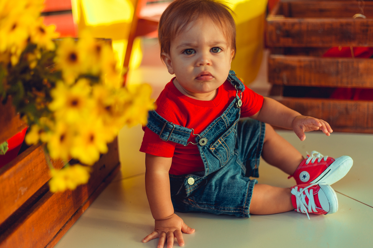 aniversario infantil fotografia salvador picnic 1 ano um tema criativo decoração foto fotografo fotografa crianças festa em casa