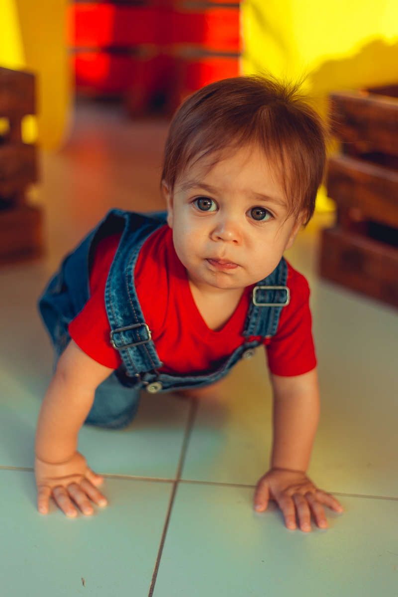 aniversario infantil fotografia salvador picnic 1 ano um tema criativo decoração foto fotografo fotografa crianças festa em casa