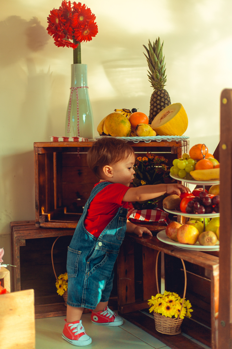 aniversario infantil fotografia salvador picnic 1 ano um tema criativo decoração foto fotografo fotografa crianças festa em casa