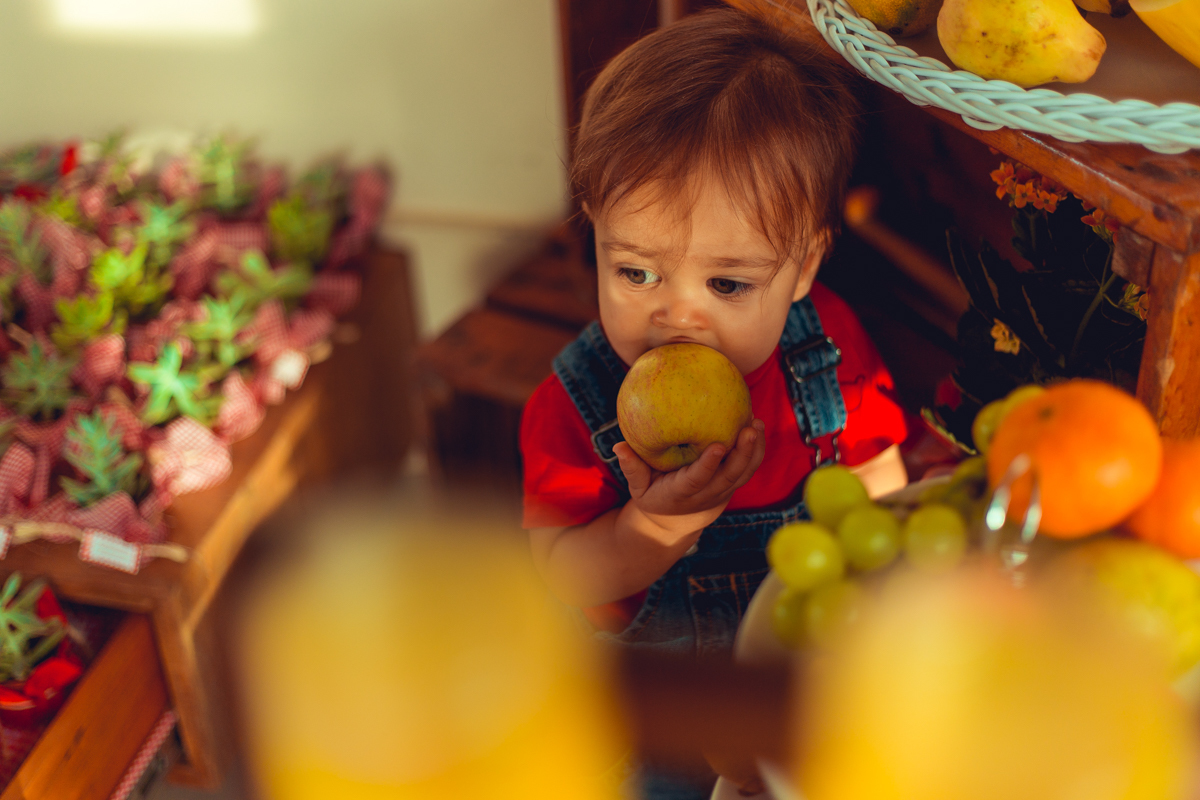 aniversario infantil fotografia salvador picnic 1 ano um tema criativo decoração foto fotografo fotografa crianças festa em casa