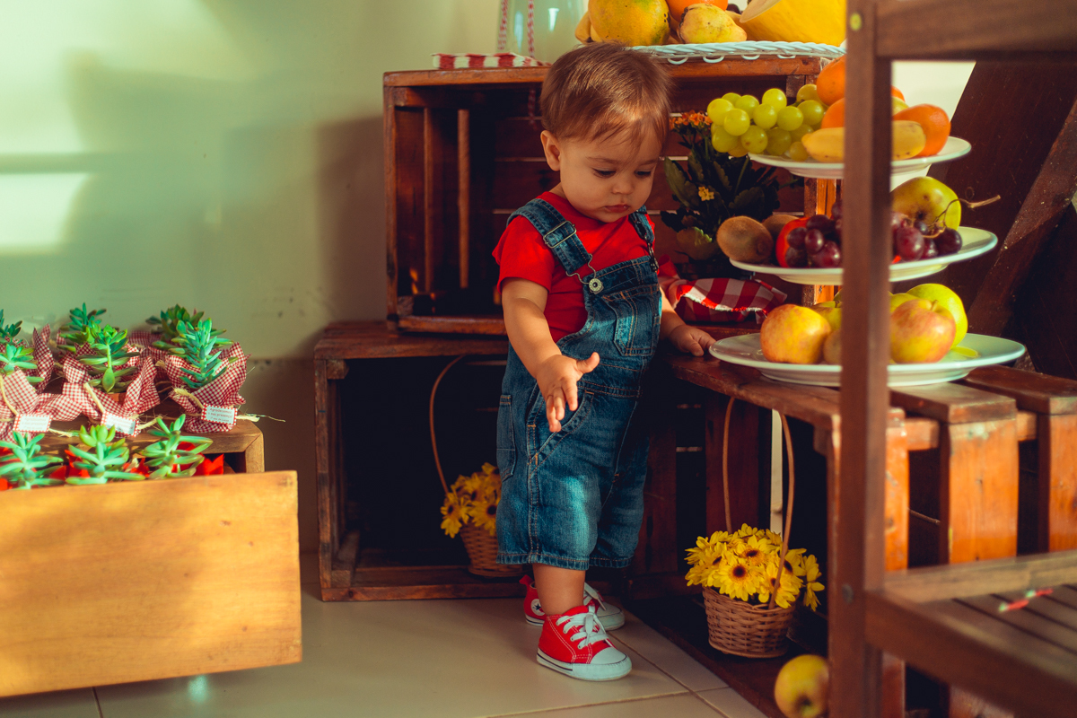 aniversario infantil fotografia salvador picnic 1 ano um tema criativo decoração foto fotografo fotografa crianças festa em casa