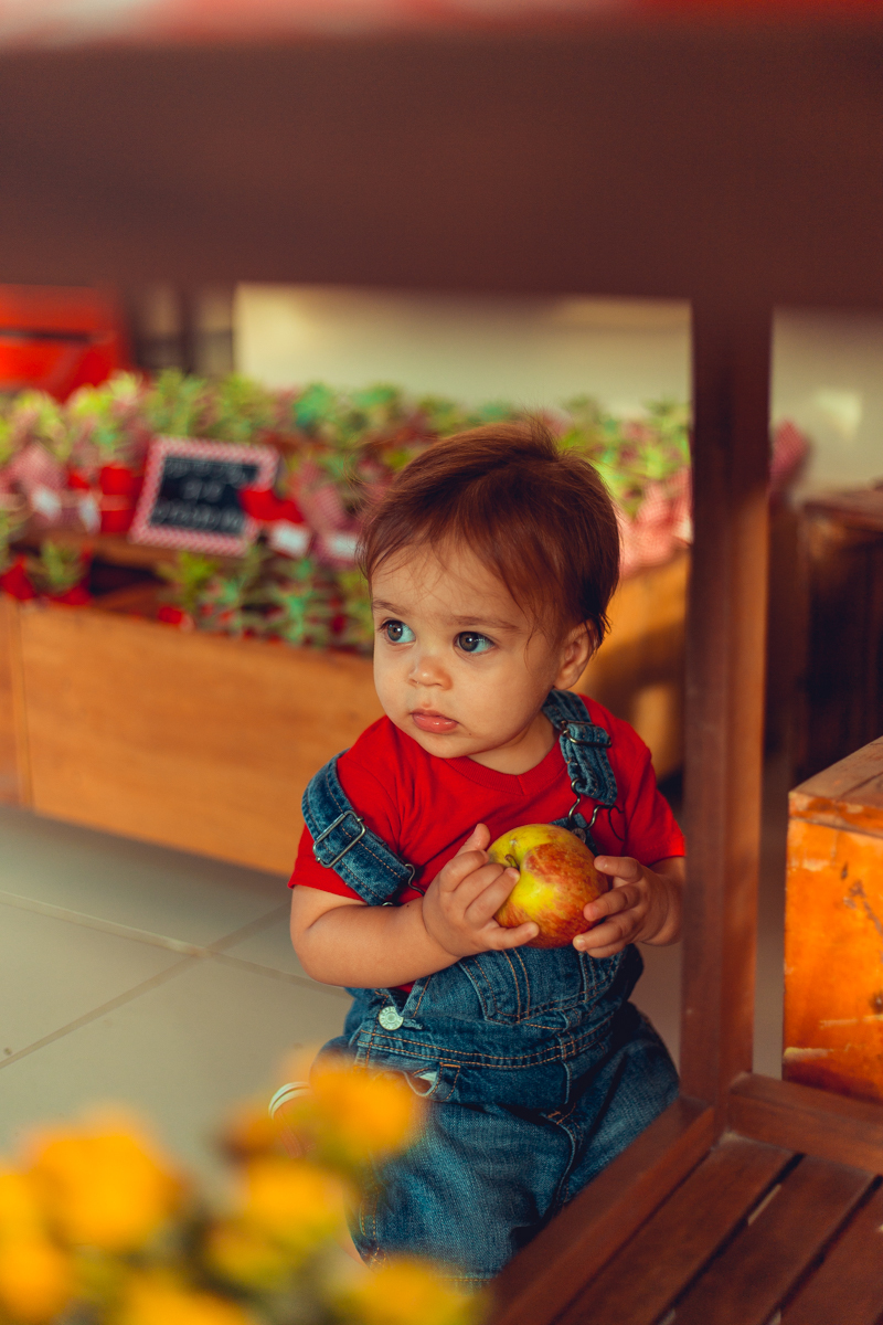 aniversario infantil fotografia salvador picnic 1 ano um tema criativo decoração foto fotografo fotografa crianças festa em casa