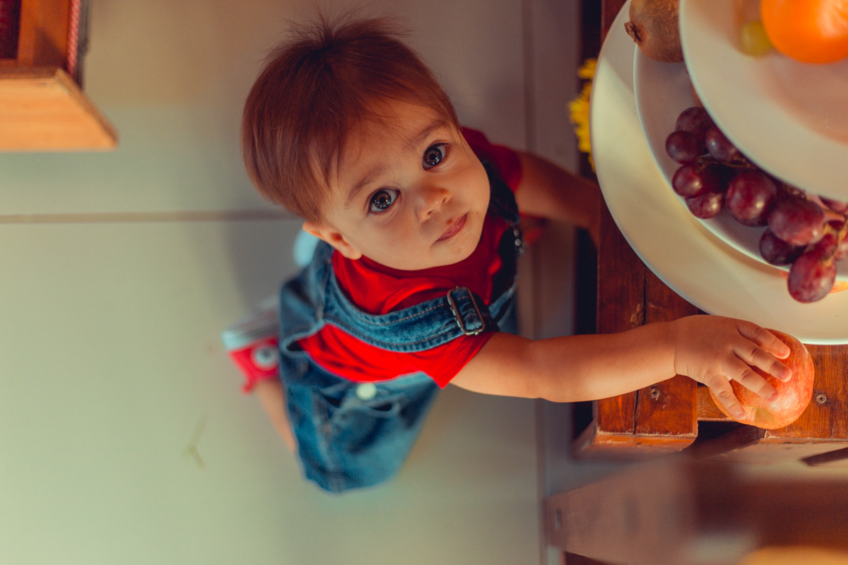 aniversario infantil fotografia salvador picnic 1 ano um tema criativo decoração foto fotografo fotografa crianças festa em casa