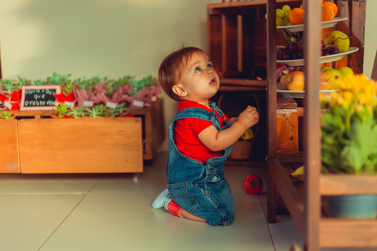 aniversario infantil fotografia salvador picnic 1 ano um tema criativo decoração foto fotografo fotografa crianças festa em casa