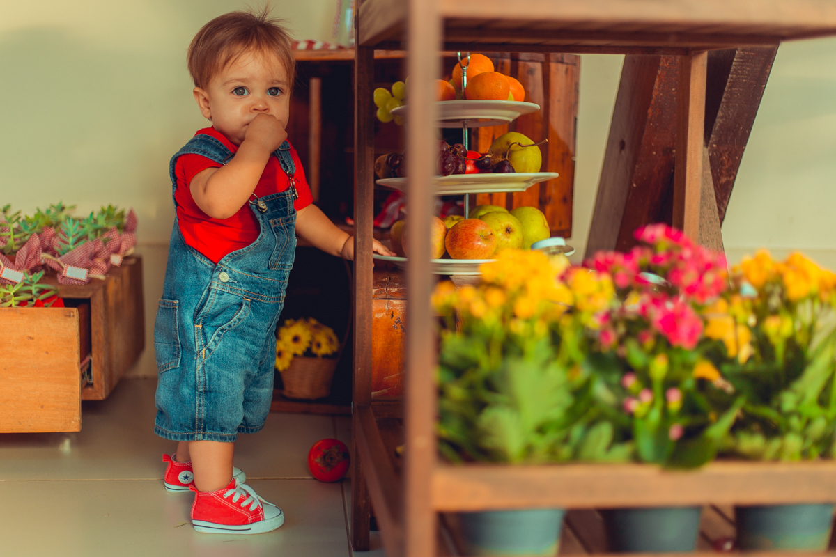 aniversario infantil fotografia salvador picnic 1 ano um tema criativo decoração foto fotografo fotografa crianças festa em casa
