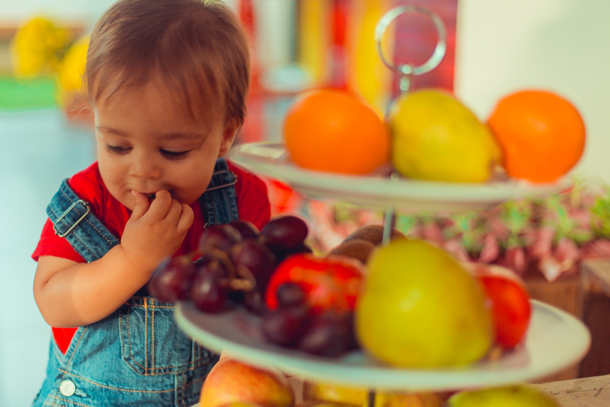 aniversario infantil fotografia salvador picnic 1 ano um tema criativo decoração foto fotografo fotografa crianças festa em casa