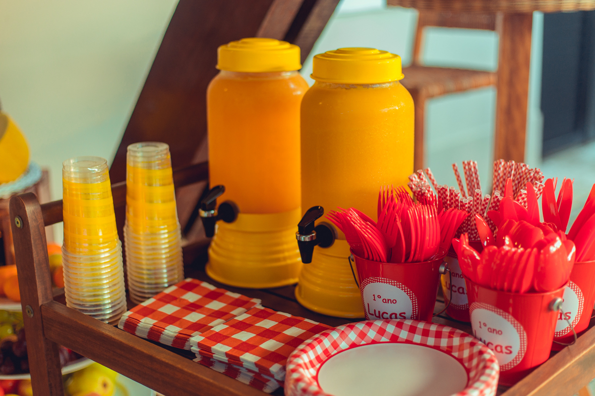 aniversario infantil fotografia salvador picnic 1 ano um tema criativo decoração foto fotografo fotografa crianças festa em casa