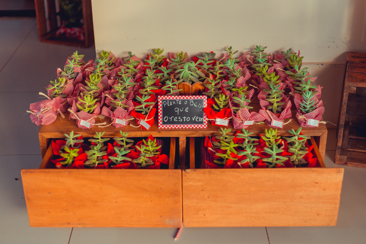 aniversario infantil fotografia salvador picnic 1 ano um tema criativo decoração foto fotografo fotografa crianças festa em casa