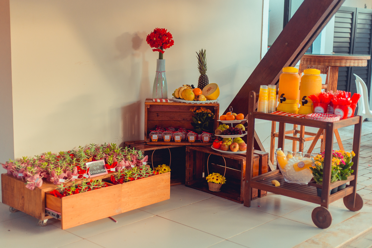 aniversario infantil fotografia salvador picnic 1 ano um tema criativo decoração foto fotografo fotografa crianças festa em casa