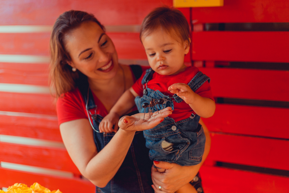aniversario infantil fotografia salvador picnic 1 ano um tema criativo decoração foto fotografo fotografa crianças festa em casa