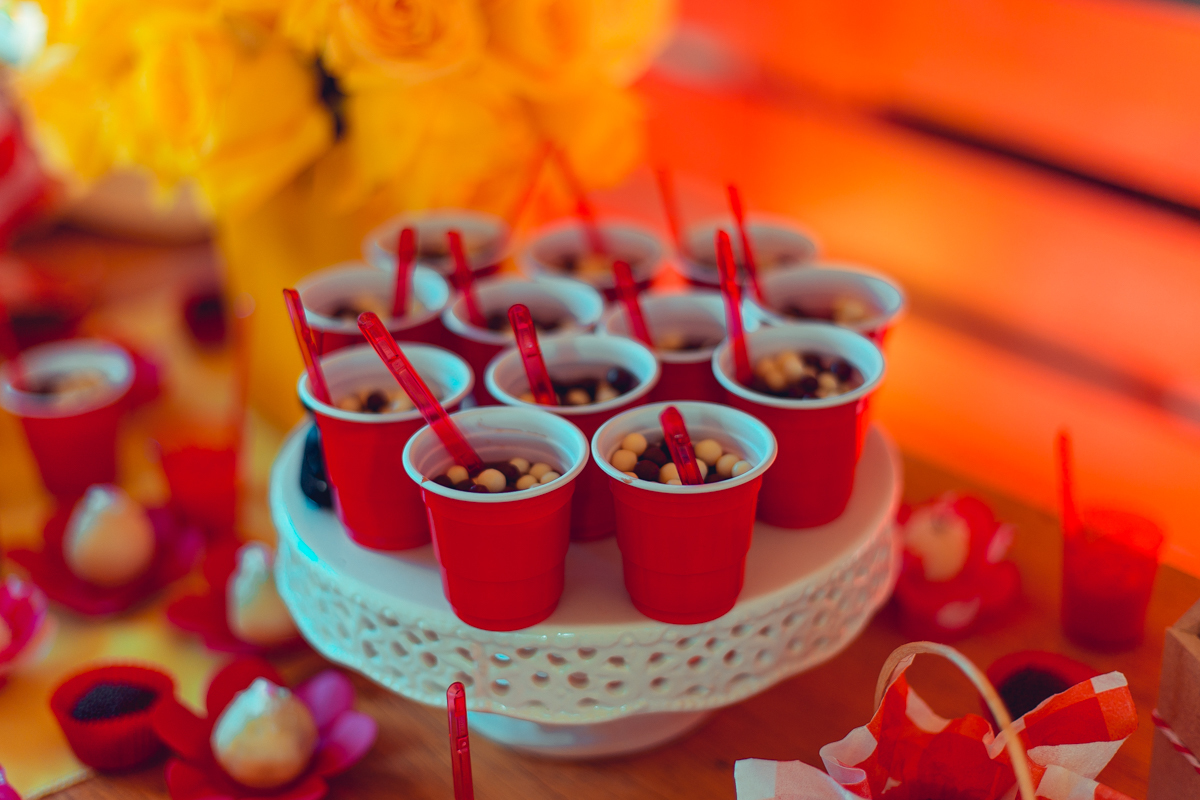 aniversario infantil fotografia salvador picnic 1 ano um tema criativo decoração foto fotografo fotografa crianças festa em casa