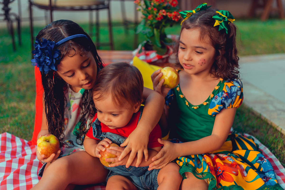 aniversario infantil fotografia salvador picnic 1 ano um tema criativo decoração foto fotografo fotografa crianças festa em casa