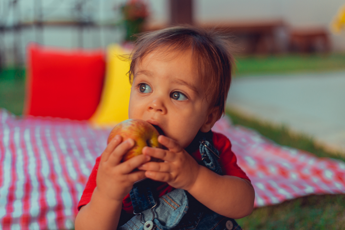 aniversario infantil fotografia salvador picnic 1 ano um tema criativo decoração foto fotografo fotografa crianças festa em casa