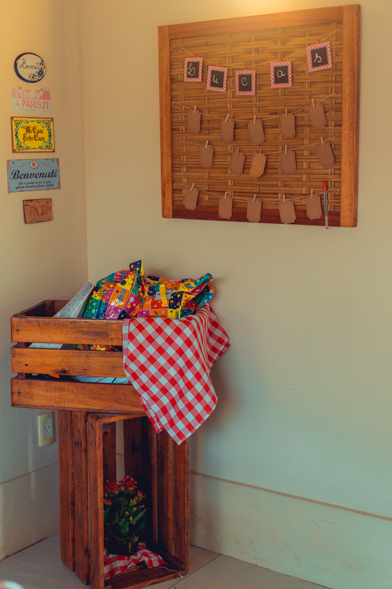 aniversario infantil fotografia salvador picnic 1 ano um tema criativo decoração foto fotografo fotografa crianças festa em casa