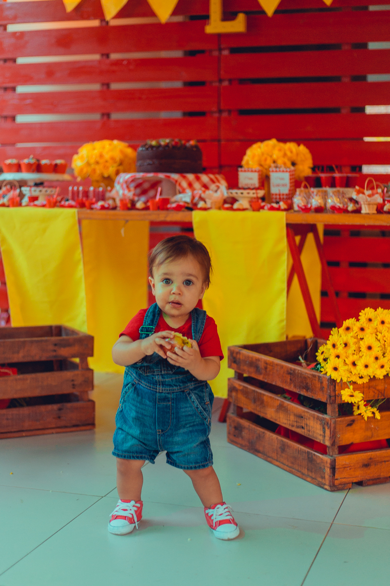 aniversario infantil fotografia salvador picnic 1 ano um tema criativo decoração foto fotografo fotografa crianças festa em casa