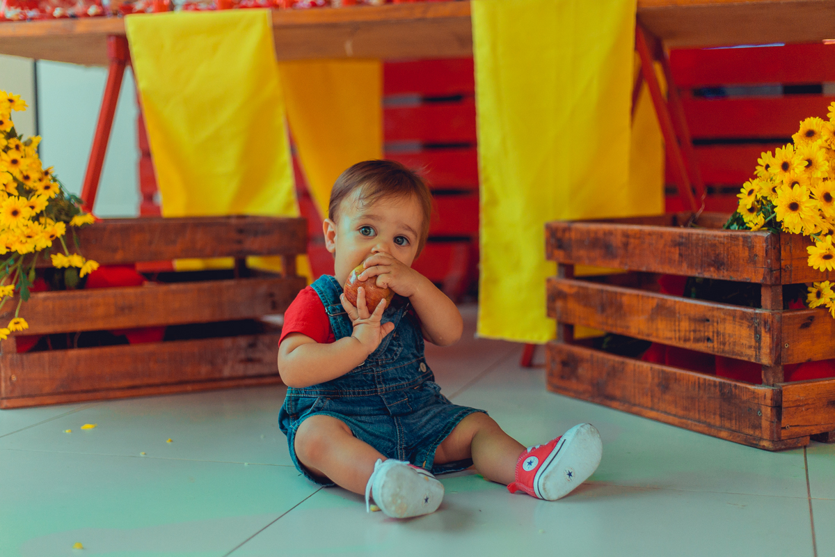 aniversario infantil fotografia salvador picnic 1 ano um tema criativo decoração foto fotografo fotografa crianças festa em casa