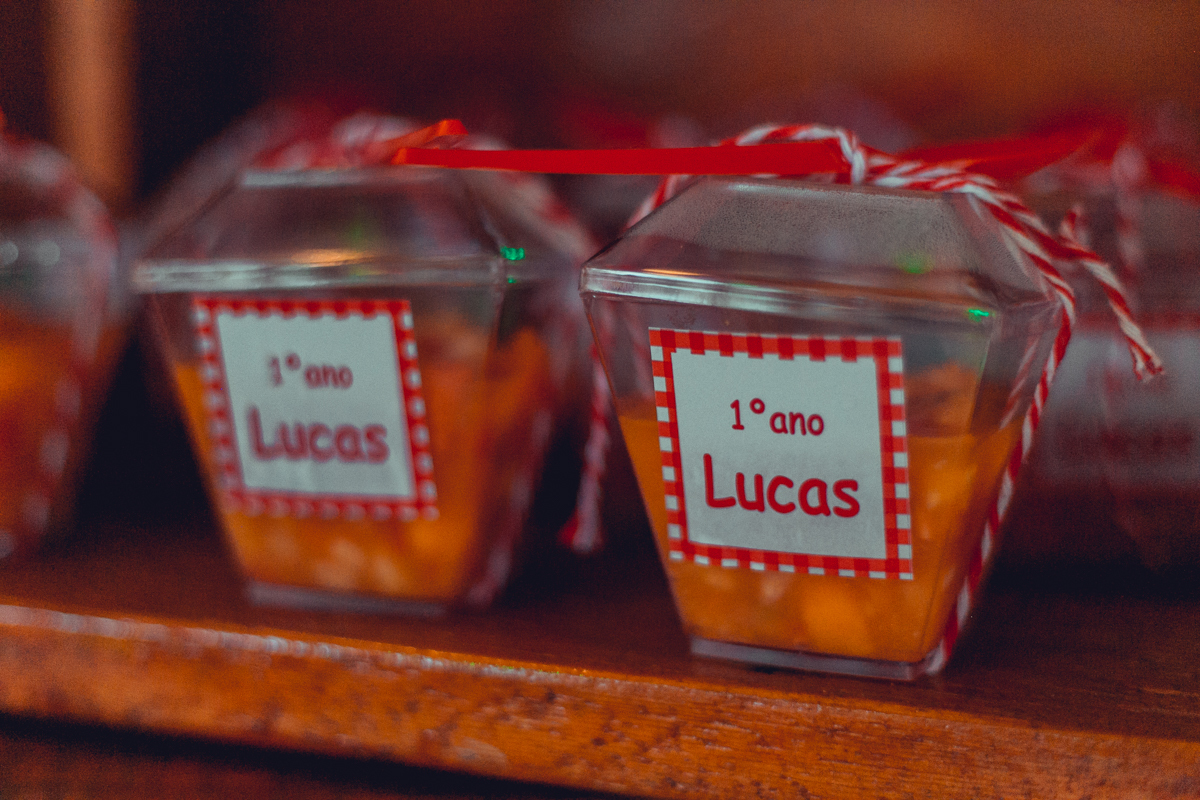 aniversario infantil fotografia salvador picnic 1 ano um tema criativo decoração foto fotografo fotografa crianças festa em casa