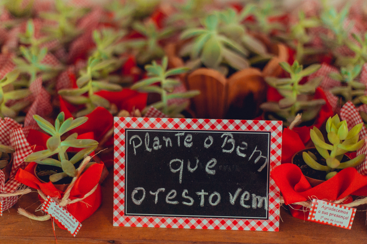aniversario infantil fotografia salvador picnic 1 ano um tema criativo decoração foto fotografo fotografa crianças festa em casa