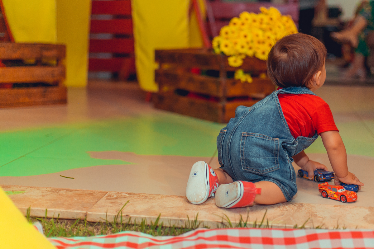 aniversario infantil fotografia salvador picnic 1 ano um tema criativo decoração foto fotografo fotografa crianças festa em casa
