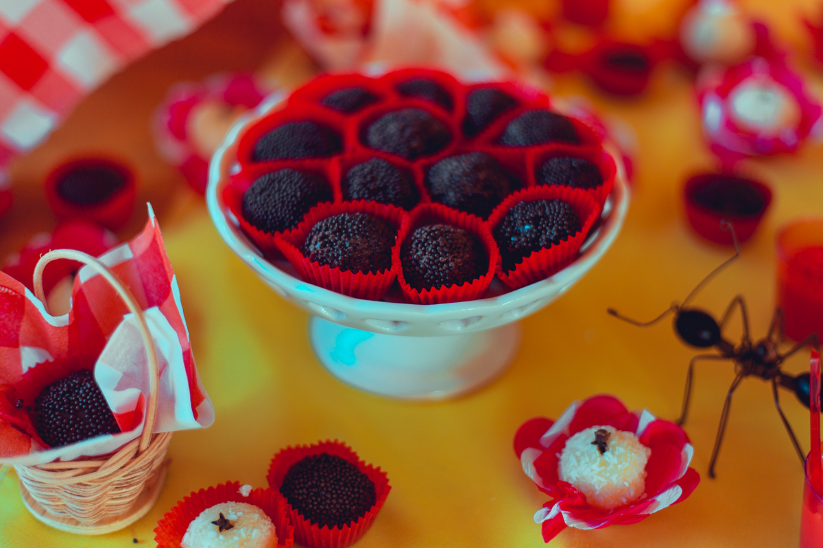 aniversario infantil fotografia salvador picnic 1 ano um tema criativo decoração foto fotografo fotografa crianças festa em casa