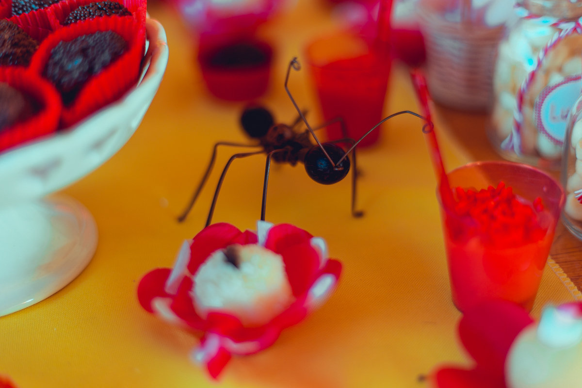 aniversario infantil fotografia salvador picnic 1 ano um tema criativo decoração foto fotografo fotografa crianças festa em casa