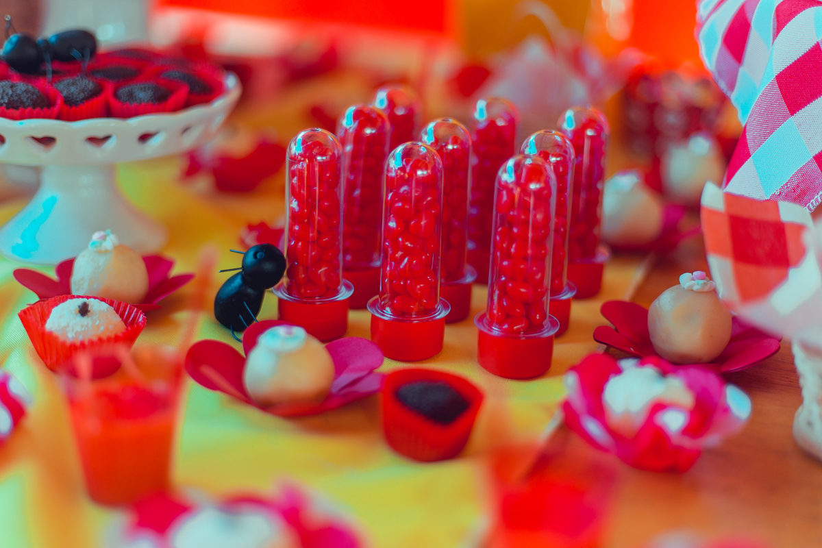 aniversario infantil fotografia salvador picnic 1 ano um tema criativo decoração foto fotografo fotografa crianças festa em casa