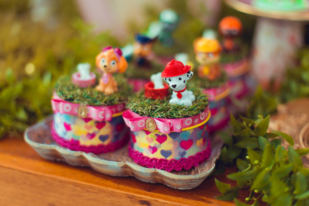 senhoritas ludy siqueira aniversario infantil fotografia fotografa festa patrulha canina decor decoração tema salvador foto album book melhor criativa diferente ideias ideia bolo cake