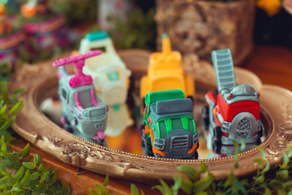 senhoritas ludy siqueira aniversario infantil fotografia fotografa festa patrulha canina decor decoração tema salvador foto album book melhor criativa diferente ideias ideia bolo cake