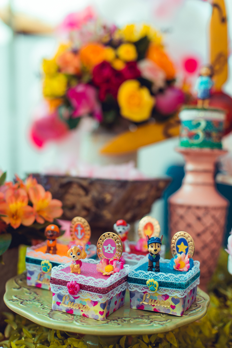 senhoritas ludy siqueira aniversario infantil fotografia fotografa festa patrulha canina decor decoração tema salvador foto album book melhor criativa diferente ideias ideia bolo cake