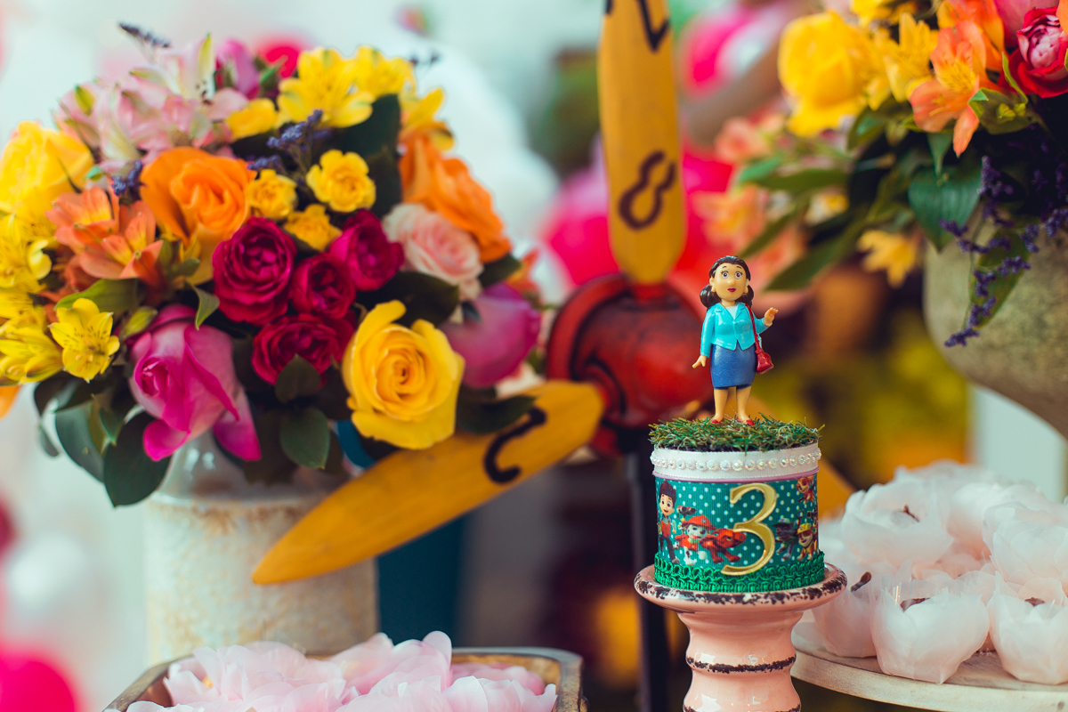 senhoritas ludy siqueira aniversario infantil fotografia fotografa festa patrulha canina decor decoração tema salvador foto album book melhor criativa diferente ideias ideia bolo cake