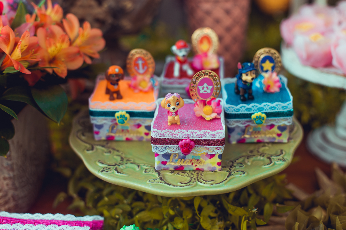 senhoritas ludy siqueira aniversario infantil fotografia fotografa festa patrulha canina decor decoração tema salvador foto album book melhor criativa diferente ideias ideia bolo cake