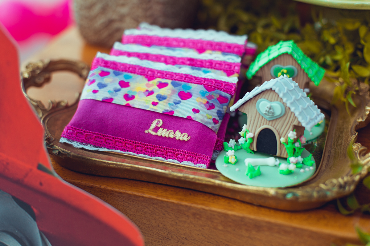 senhoritas ludy siqueira aniversario infantil fotografia fotografa festa patrulha canina decor decoração tema salvador foto album book melhor criativa diferente ideias ideia bolo cake