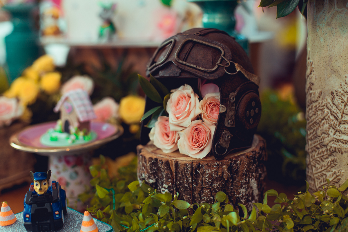 senhoritas ludy siqueira aniversario infantil fotografia fotografa festa patrulha canina decor decoração tema salvador foto album book melhor criativa diferente ideias ideia bolo cake