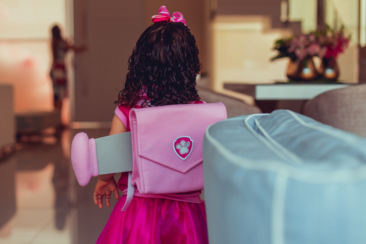 senhoritas ludy siqueira aniversario infantil fotografia fotografa festa patrulha canina decor decoração tema salvador foto album book melhor criativa diferente ideias ideia bolo cake fantasia roupa vestido menina