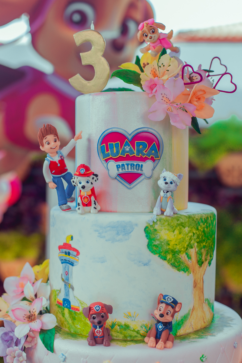 senhoritas ludy siqueira aniversario infantil fotografia fotografa festa patrulha canina decor decoração tema salvador foto album book melhor criativa diferente ideias ideia bolo cake