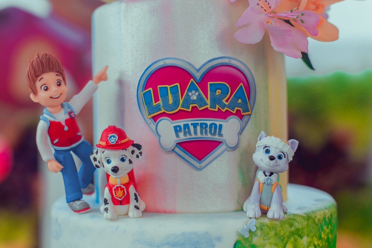 senhoritas ludy siqueira aniversario infantil fotografia fotografa festa patrulha canina decor decoração tema salvador foto album book melhor criativa diferente ideias ideia bolo cake