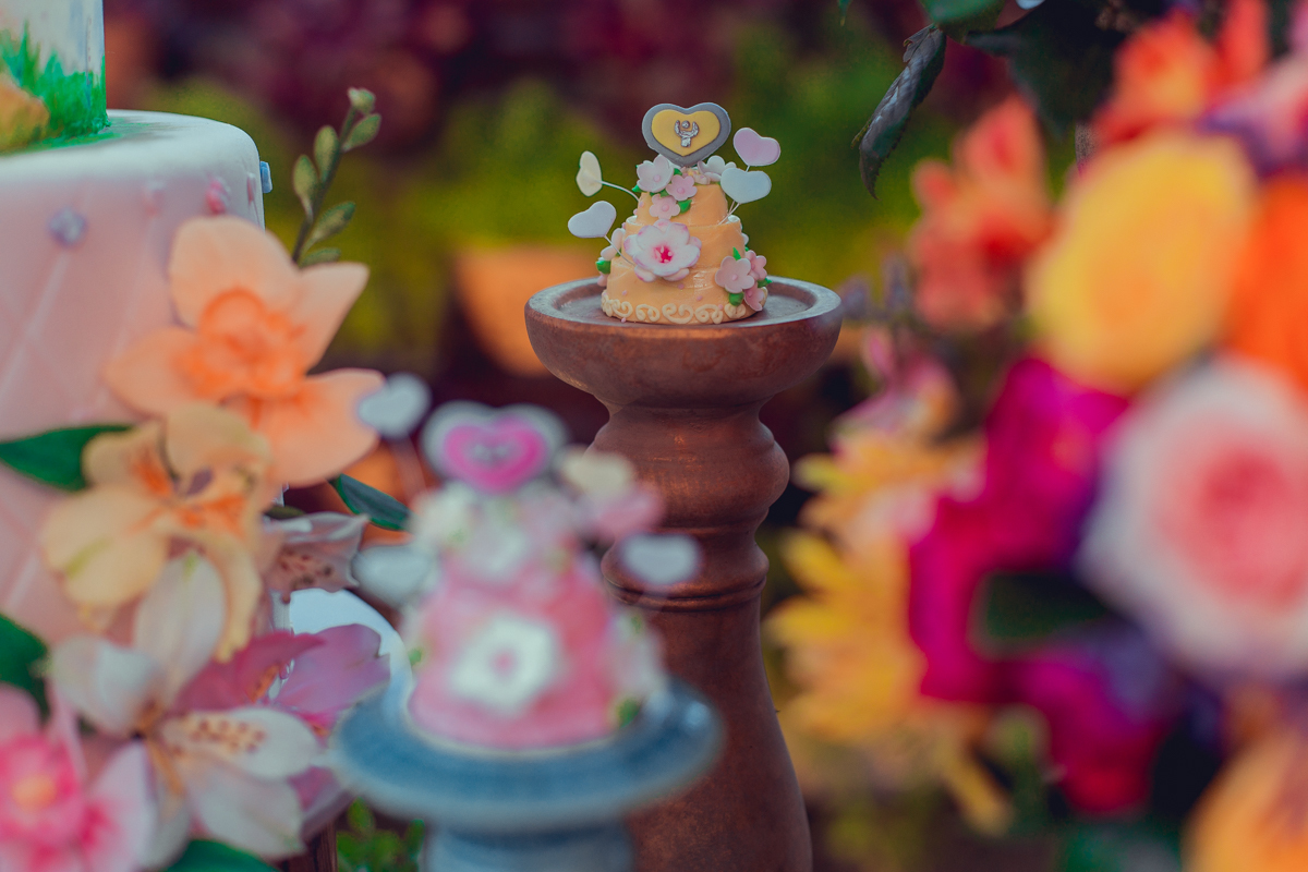 senhoritas ludy siqueira aniversario infantil fotografia fotografa festa patrulha canina decor decoração tema salvador foto album book melhor criativa diferente ideias ideia bolo cake