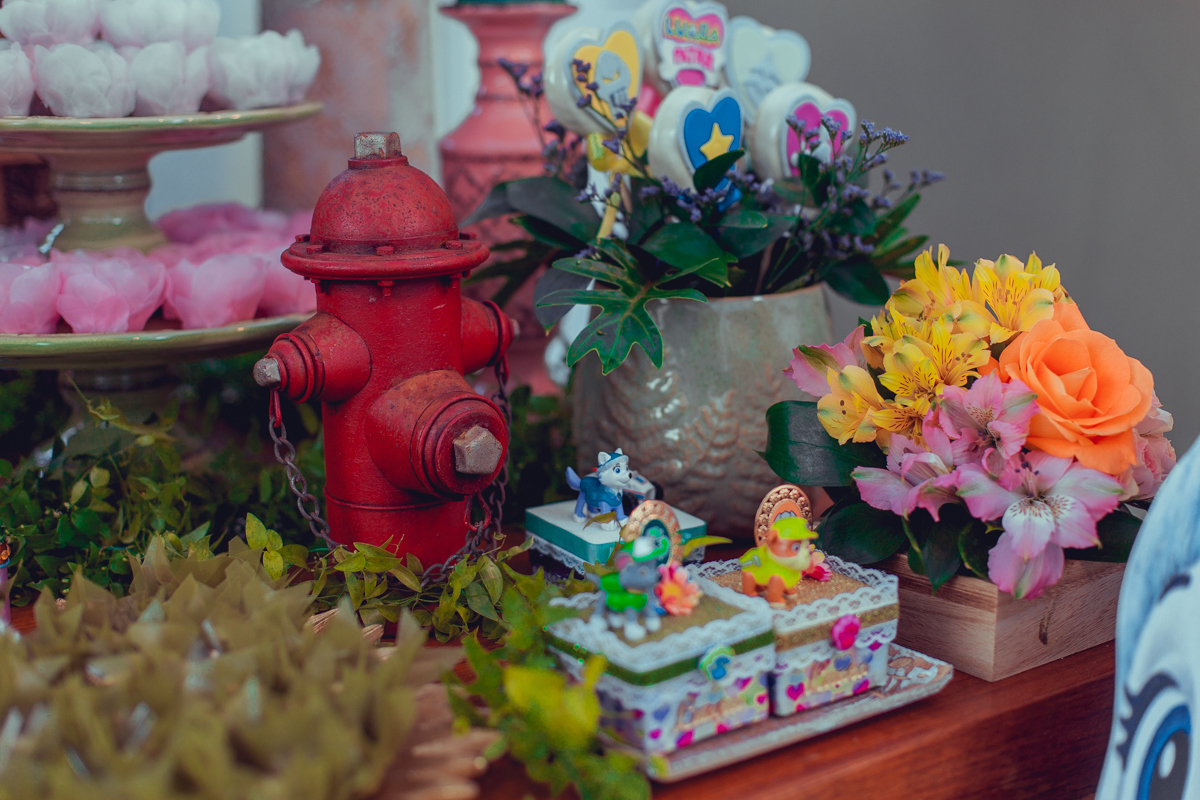 senhoritas ludy siqueira aniversario infantil fotografia fotografa festa patrulha canina decor decoração tema salvador foto album book melhor criativa diferente ideias ideia bolo cake