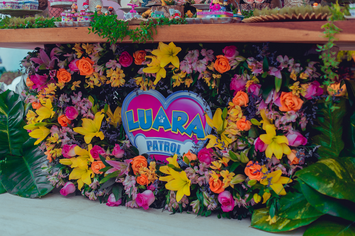 senhoritas ludy siqueira aniversario infantil fotografia fotografa festa patrulha canina decor decoração tema salvador foto album book melhor criativa diferente ideias ideia flores 